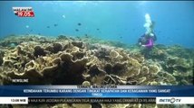 Melihat Surga Bawah Laut Ternate