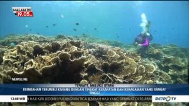 Melihat Surga Bawah Laut Ternate