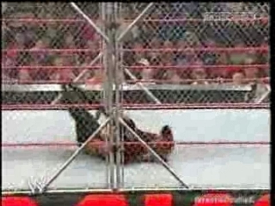 Lita vs. Victoria  Steel Cage Match