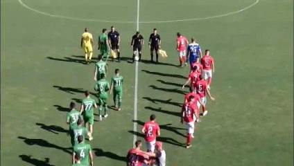 Πλατανιάς-Λεβαδειακός 3-2