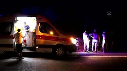 Hafif ticari araç devrildi: 4 yaralı