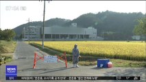 '양돈 1번지' 충남 홍성, 돼지열병 '음성' 판정