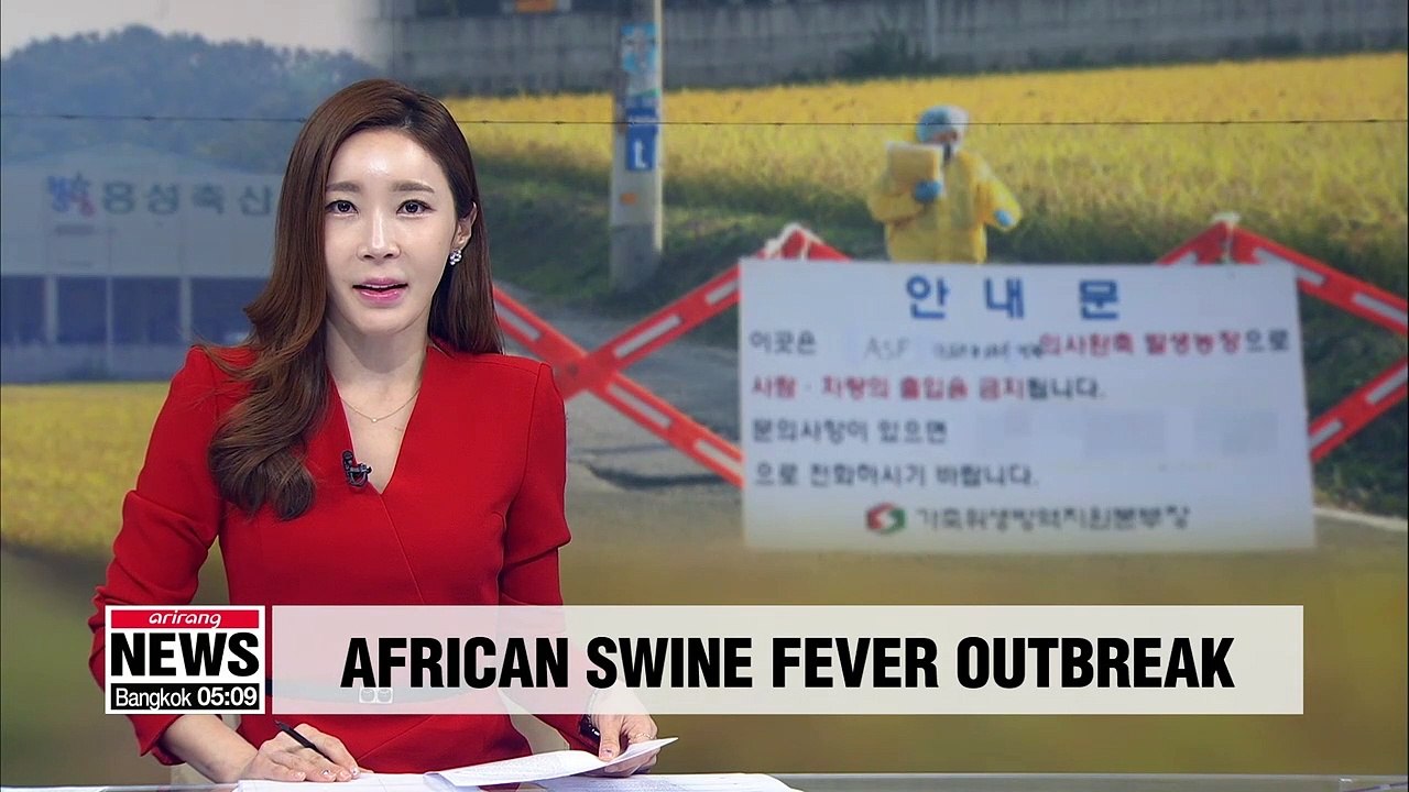 Pigs at farm in Chungcheongnam-do Province died due to suffocation, not ASF: Officials