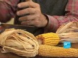 Reportage FRANCE 24  - Espagne-OGM - FR