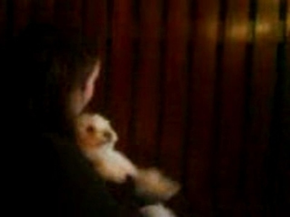 ma mitsy d'amour
