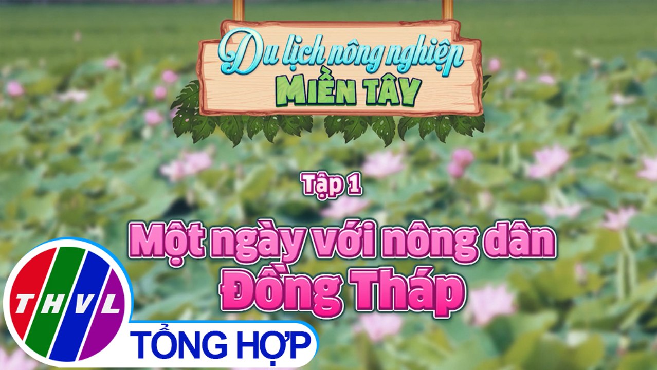 THVL | Ký sự truyền hình | Du lịch nông nghiệp miền Tây - Tập 1: Một ngày với nông dân Đồng Tháp