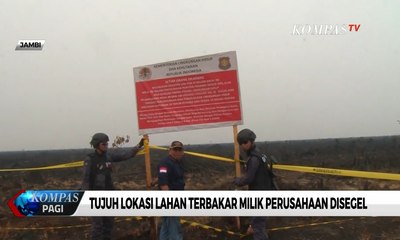 Tải video: Tujuh Lokasi Lahan Terbakar di Jambi Milik Perusahaan Disegel