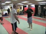 Training Mixed Martial Arts - Techniques