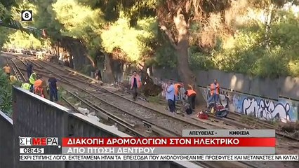 Διακοπή δρομολογίων του ΗΣΑΠ λόγω πτώσης δέντρου