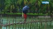 കനത്ത മഴ, മിന്നല്‍: 3 ജില്ലകളില്‍ യെല്ലോ അലര്‍ട്ട് Heavy Rain,Lightning: Yellow Alert in 3 Districts
