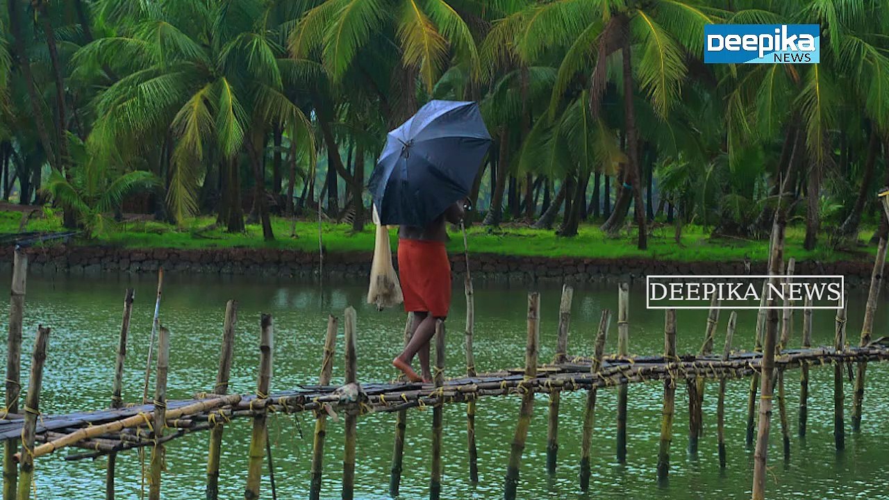 കനത്ത മഴ, മിന്നല്‍: 3 ജില്ലകളില്‍ യെല്ലോ അലര്‍ട്ട് Heavy Rain,Lightning: Yellow Alert in 3 Districts