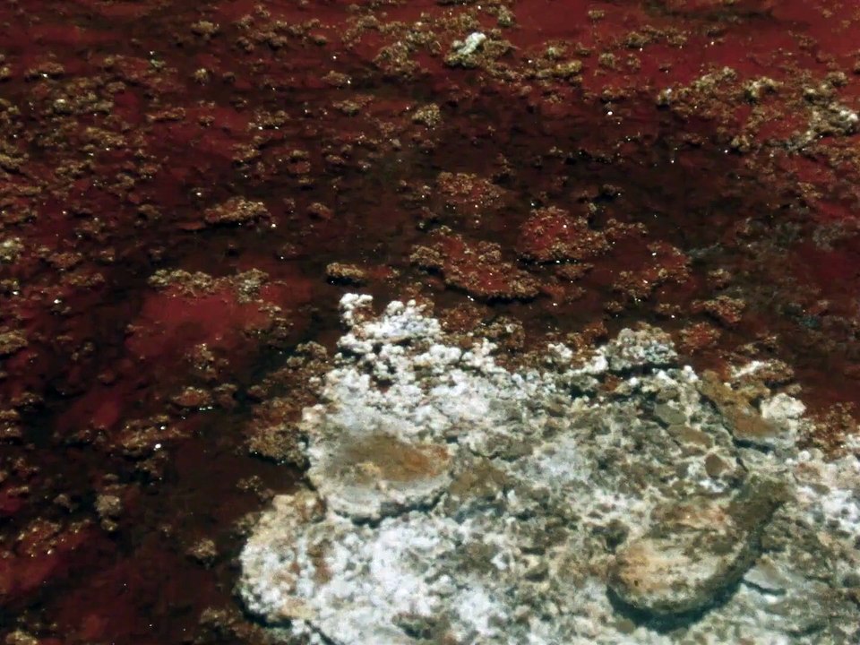 Altiplano movie
