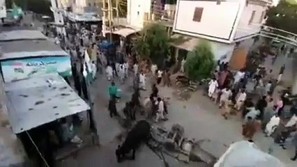 Cow Qurbani | Funny Compilation of Cow Running in Karachi Road | Eid Ul Adha 2018 & 2019