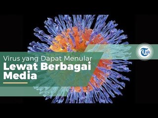 Herpes, Merupakan Virus Herpesviridae yang Dapat Menginfeksi Manusia