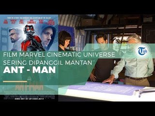 Ant Man - Tokoh Superhero Marvel