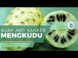 Mengkudu - Buah Obat Sejuta Manfaat