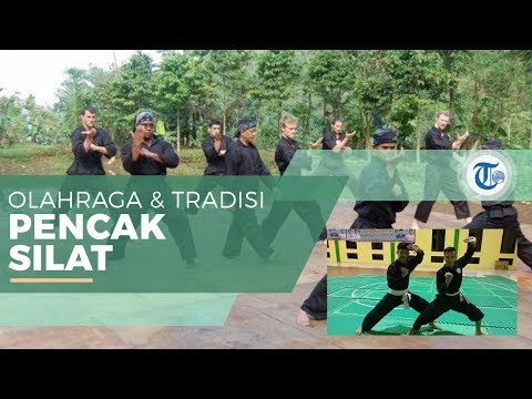 Pencak Silat - Olahraga dan Seni Bela Diri Bangsa Melayu