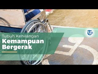 Paraplegia adalah Kondisi Medis yang Melibatkan Gangguan Fungsi Motorik atau Sensorik pada Pinggang