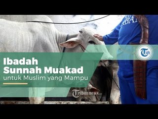 Kurban, Ibadah yang Dilakukan Umat Muslim Seusai Salat Idul Adha pada 10 Zulhijah