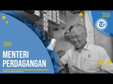 Profil Enggartiasto Lukito - Menteri Perdagangan
