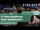 Film Mancanegara - Birds Box