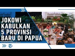 Jokowi Kabulkan Sebagian Permintaan Bentuk 5 Provinsi Baru di Papua