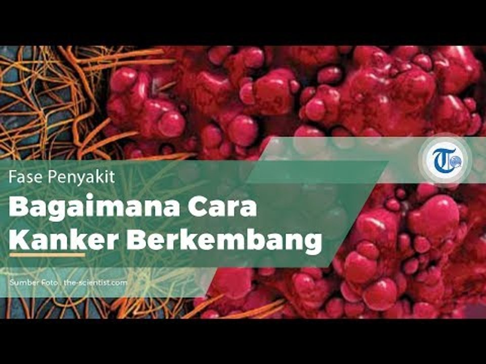 Metastatis, Proses Kanker Menyebar