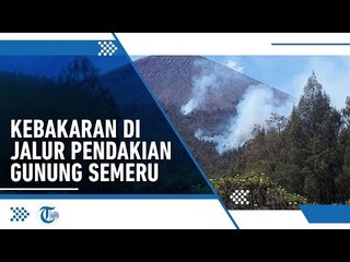 Kebakaran di Jalur Pendakian Gunung Semeru, Pendaki Dibatasi hingga Ranupali