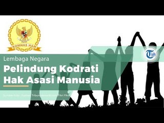 Komnas HAM, Komisi Nasional Hak Asasi Manusia