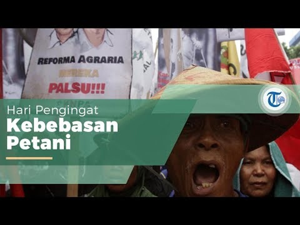 Hari Tani Nasional, Hari yang Diperingati Setiap 24 September Berdasarkan Keppres No  169 1963