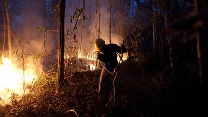 In Bolivia dove l'alta frequenza di incendi ha mandato in fumo milioni di ettari di foresta