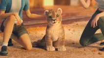 Une animation qui dénonce l'élevage des lions qui sont vendus à des chasseurs
