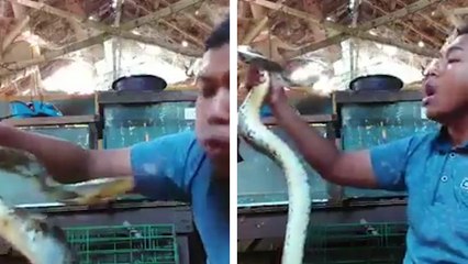 Il s'amuse à se filmer pendant qu'il joue avec un serpent qui n'est pas d'humeur