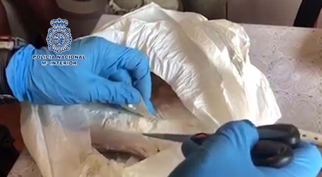 Tres detenidos con 20 kilos de cocaína ocultos en dos viviendas