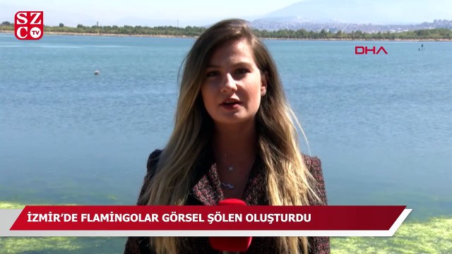 İzmir'de pembe beyaz flamingolar görsel şölen oluşturdu