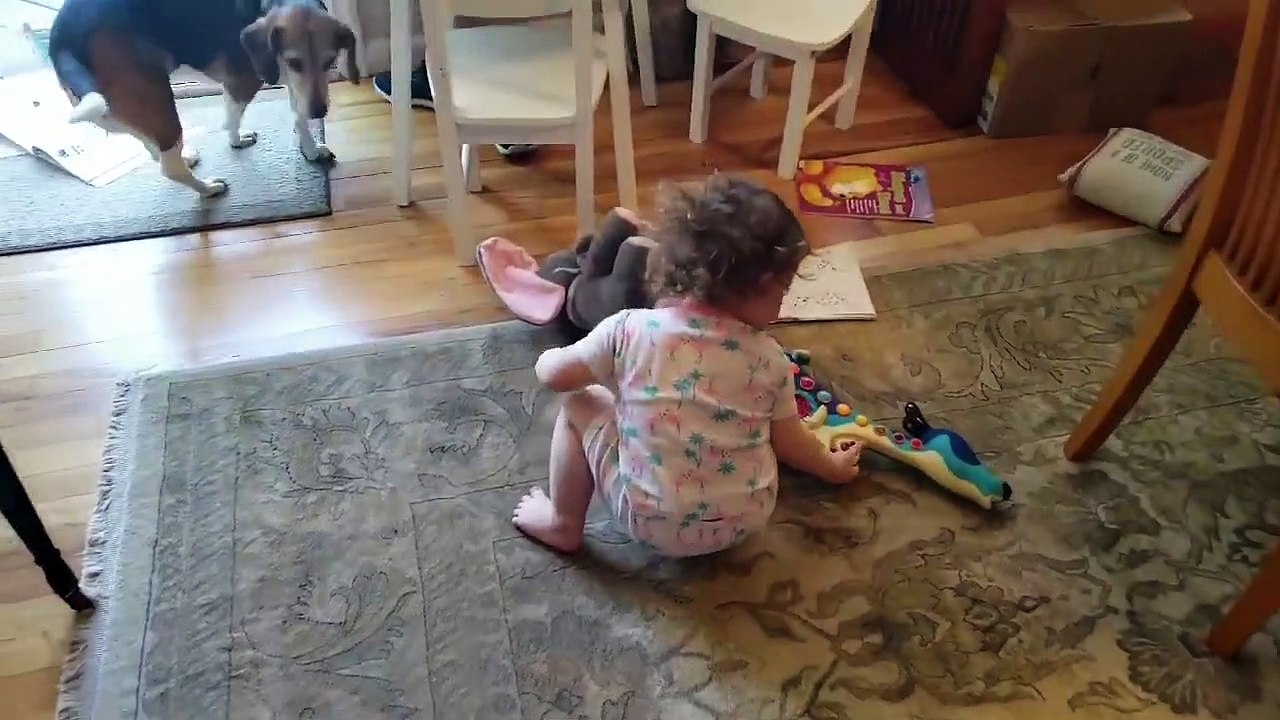 Ce chien et ce bébé semblent avoir la même passion : la musique