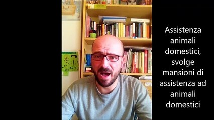 lavoratori domestici CCNL Art 10 inquadramento Livello A o A super mansioni e competenze