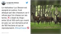 Normandie. Des chasseurs contre Luc Besson : l’audience renvoyée au 4 novembre