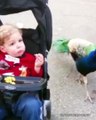 Funny Baby and Animals Playing Together - Baby and Pets Video