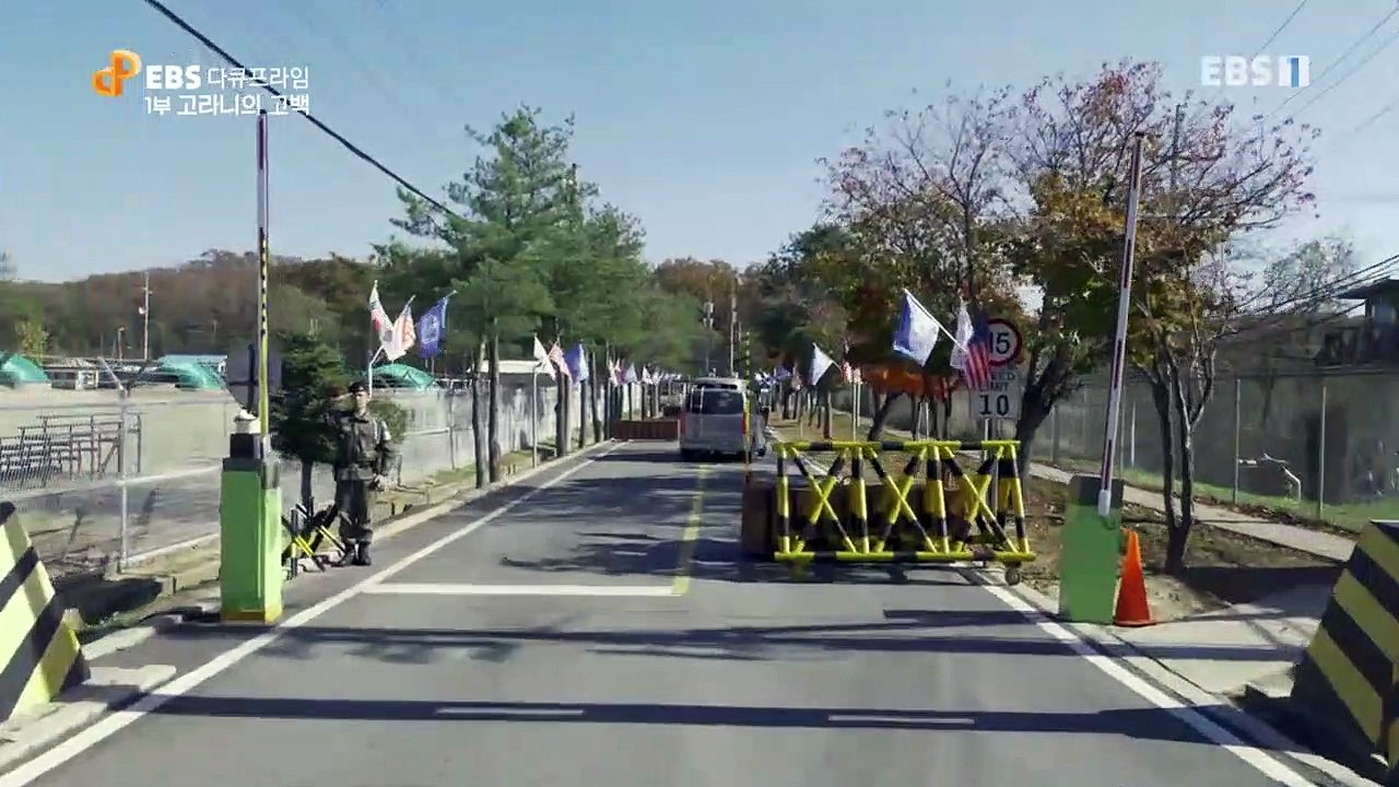 EBS 다큐프라임 - Docuprime_야생리포트 DMZ 1부- 고라니의 고백_#001