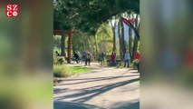 Vahşi yaşam parkı ziyaretçilerine geyik saldırdı
