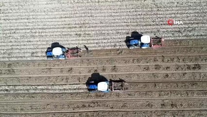 Patates tohumu ithalatına son verecek çalışma