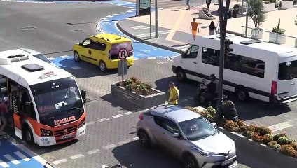 Sokak köpeği yaya geçidinde yeşil ışığı bekledi - MUĞLA