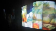 Emilie Terlinden, Still Life, video installation at the Exhibition Amorces,(view 2), 2018