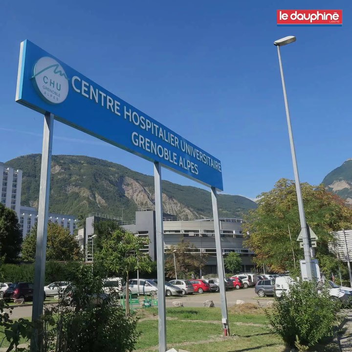 Rhône-Alpes : le moustique tigre gagne du terrain, la dengue aussi