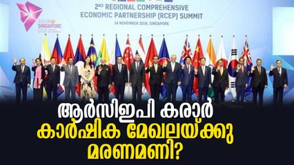 ആര്‍സിഇപി കരാര്‍ കര്‍ഷകര്‍ക്കു മരണമണി, ചെറുകിടക്കാരുടെ നടുവൊടിക്കും! RCEP Agreement Impact on India