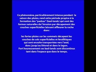 Mayotte entre mangrove et lagon