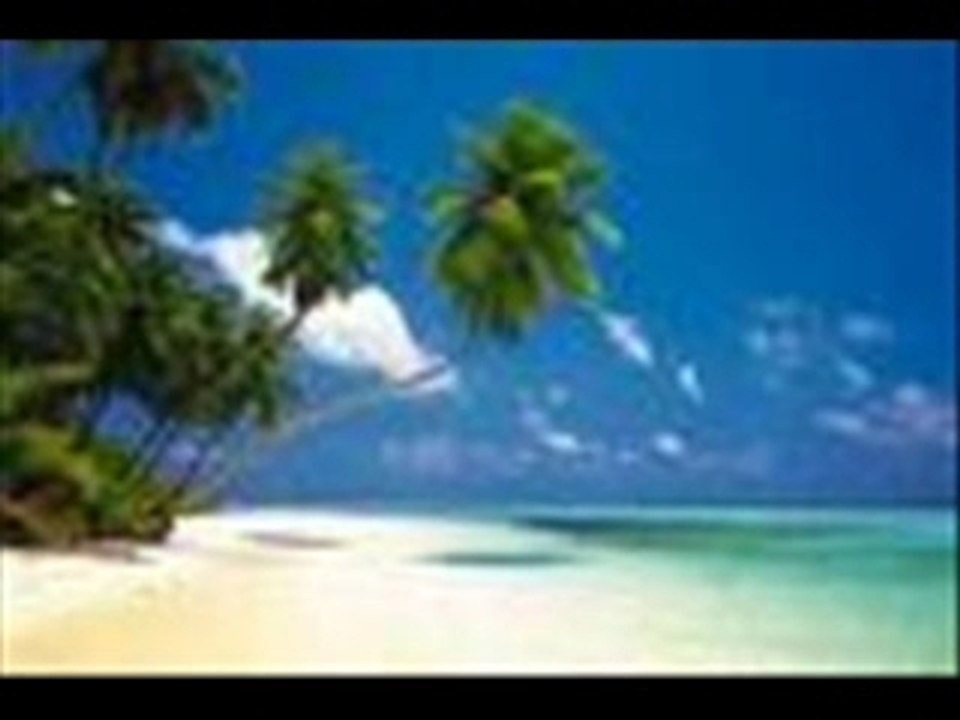 Ramzi Abdel Waheb _  Sayafi