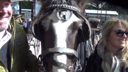 Sneen, Killarney & Adare, Treaty Stone, Limerick, Ireland 9, 8 Jun 2019