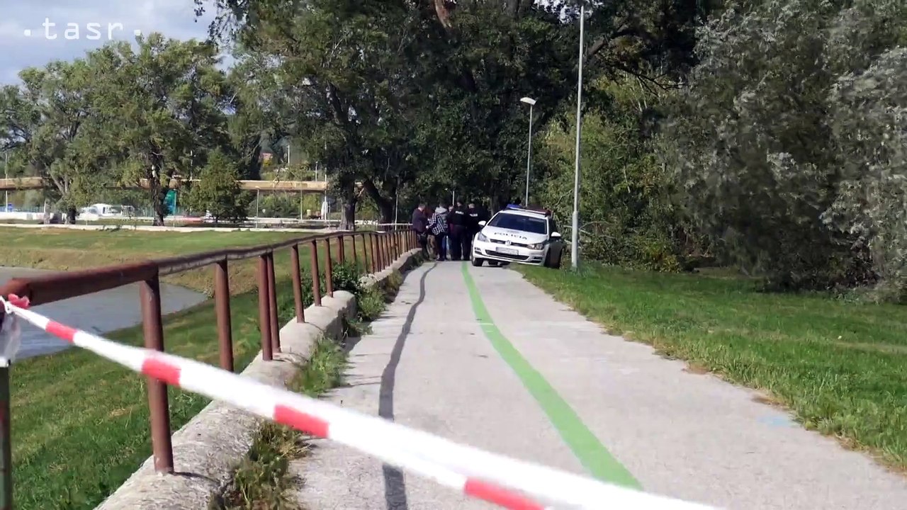NITRA: Na deti spadol strom, mladý chlapec zomrel